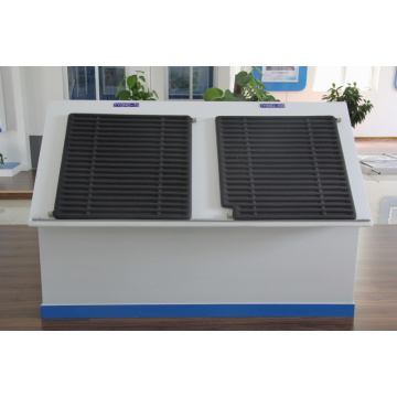 Collecteur solaire utilisé dans la région extrêmement froide de Sibérie pour Greeen House of Belaya Dacha Group